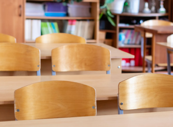 Duis gravida purus non leo convalli