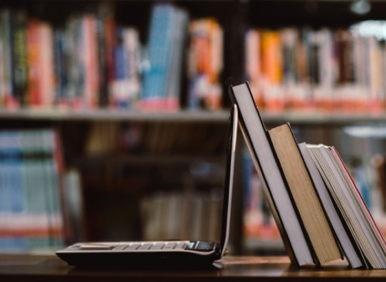 Fringilla et efficitur id porta quis ligula